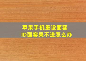 苹果手机重设面容 ID面容录不进怎么办